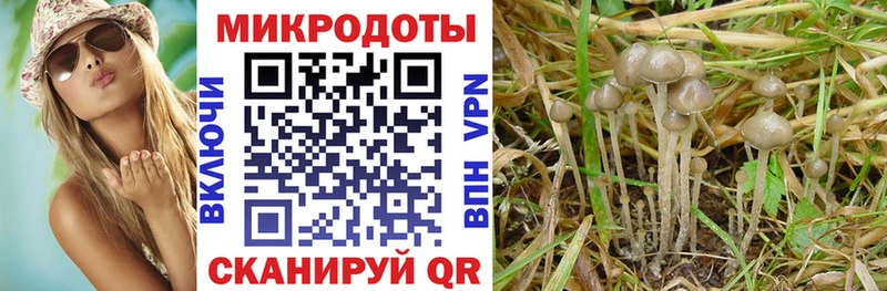 Псилоцибиновые грибы Magic Shrooms  Купить  Буй 